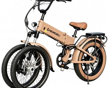 TEMAROO Expands OEM Applications from Folding Trikes to Family E-Mobility
